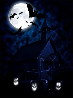 重生修仙,我被迫兼职程序员的小说