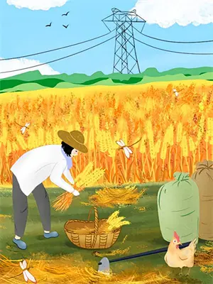 错认白月光完整版免费观看