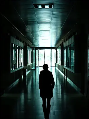 灵根是什么样子图片