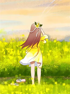 半盏流年半盏相思劫歌曲