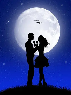 蛇王的新娘小说