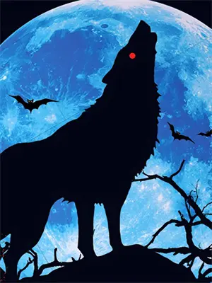 妻子的绝地反击全集在哪看